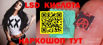 спиды Новозыбков