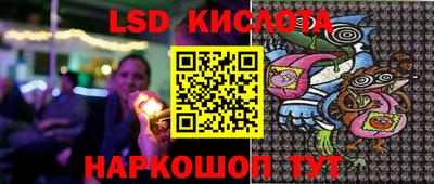 спиды Новозыбков