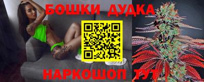 спиды Новозыбков