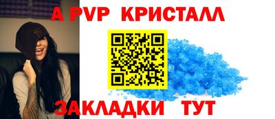 спиды Новозыбков