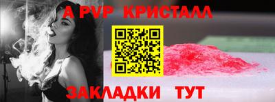 спиды Новозыбков