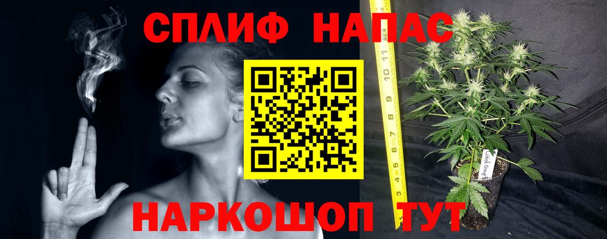 Шишки марихуана марихуана Сухой Лог